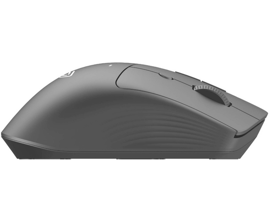  Мышь OKLICK 501MW черный 