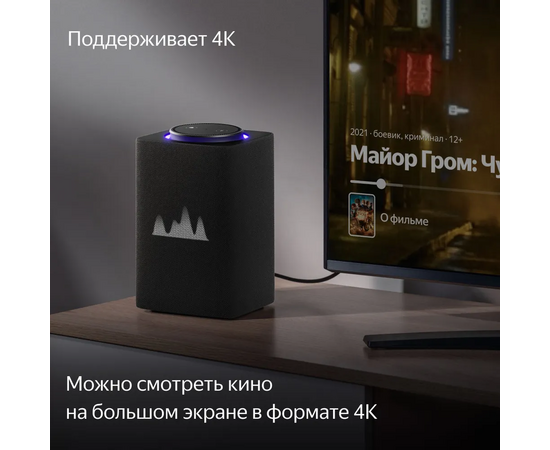  Умная колонка Яндекс. Станция Макс с Zigbee, черная (YNDX-00053K) 
